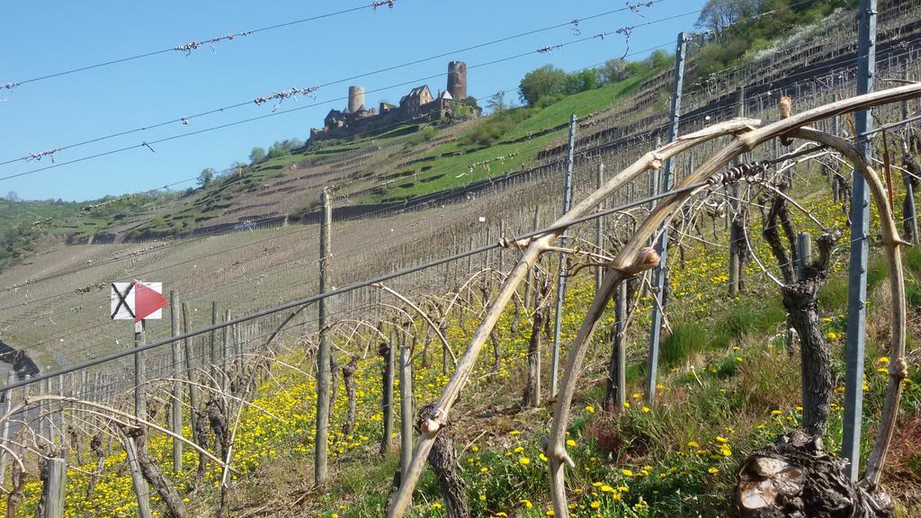 Winzerhof Brachtendorf Alken Εξωτερικό φωτογραφία