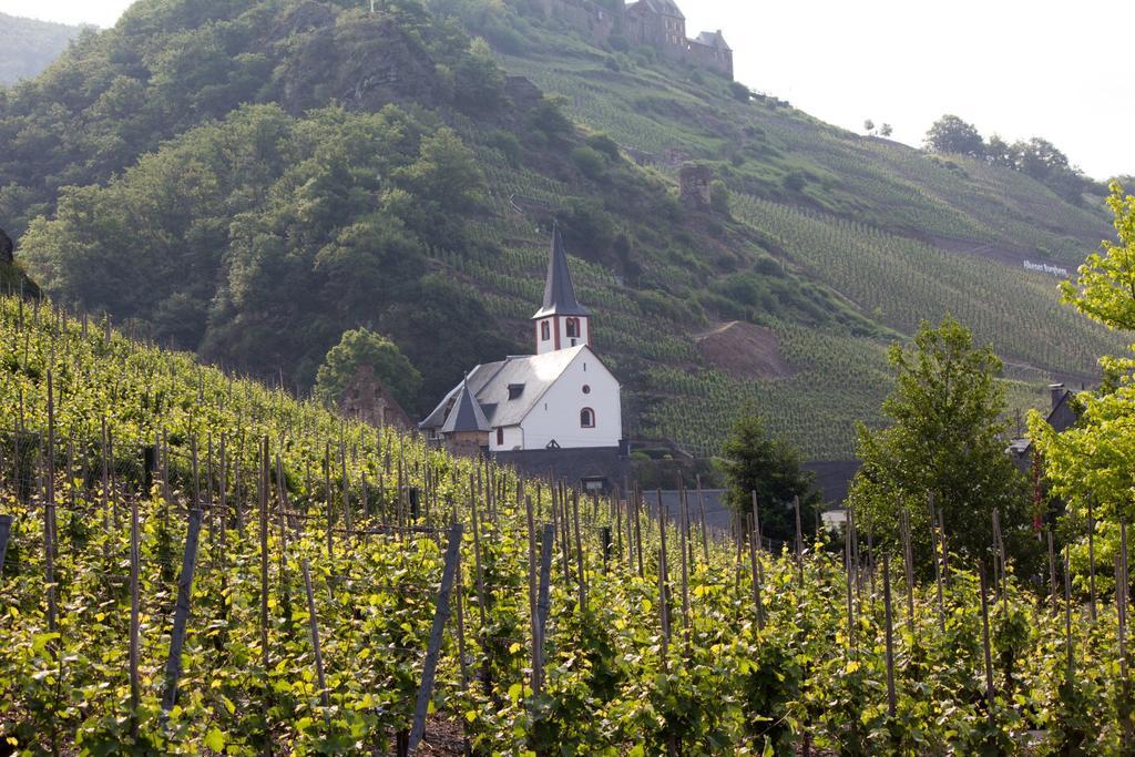 Winzerhof Brachtendorf Alken Εξωτερικό φωτογραφία