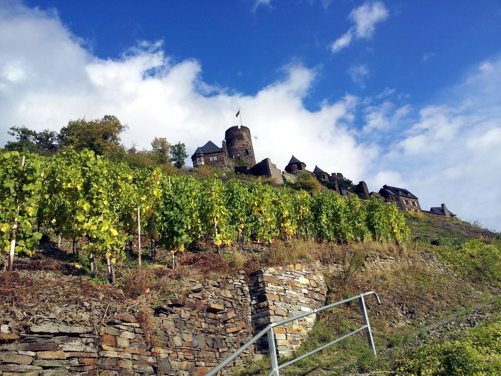 Winzerhof Brachtendorf Alken Εξωτερικό φωτογραφία